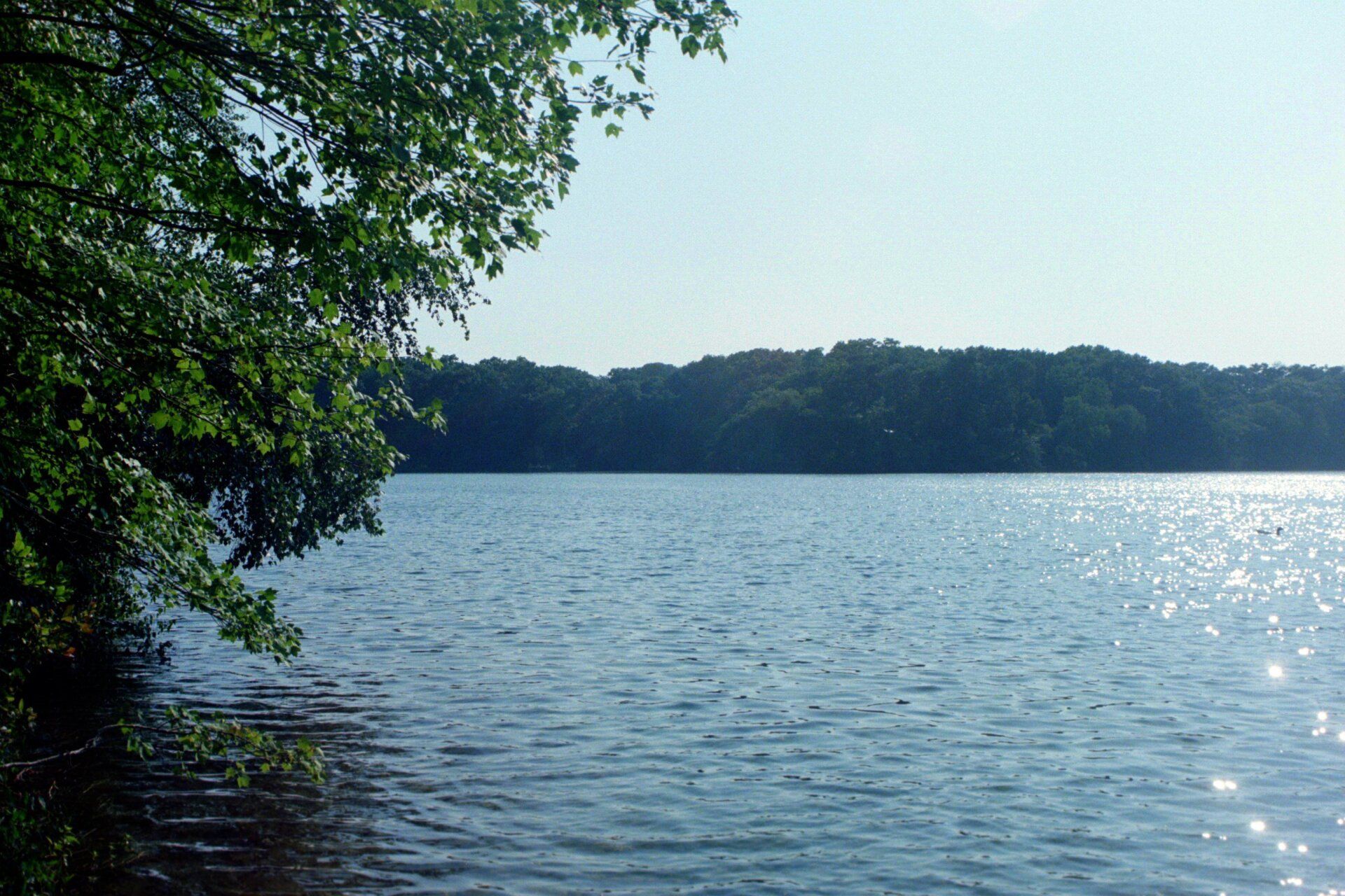 Wildwood Lake Flanders, NY