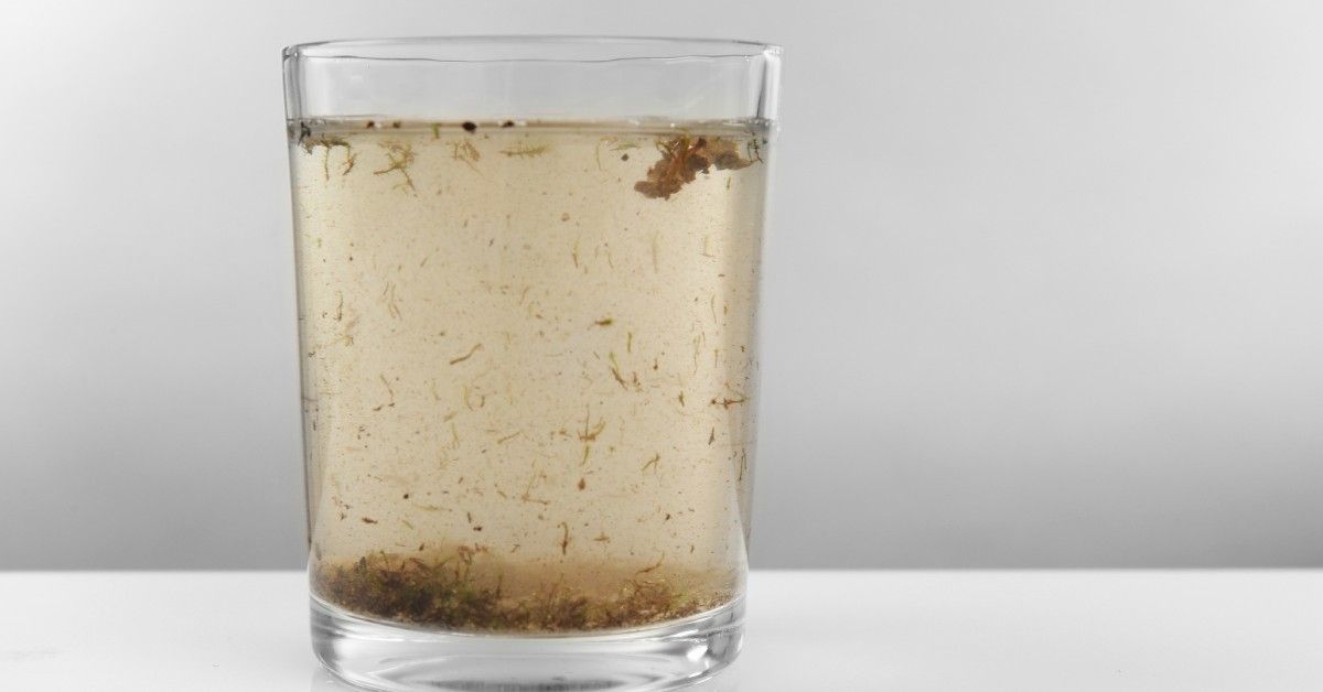 A glass filled with light brown tap water, visibly contaminated with floating dirt and particles.