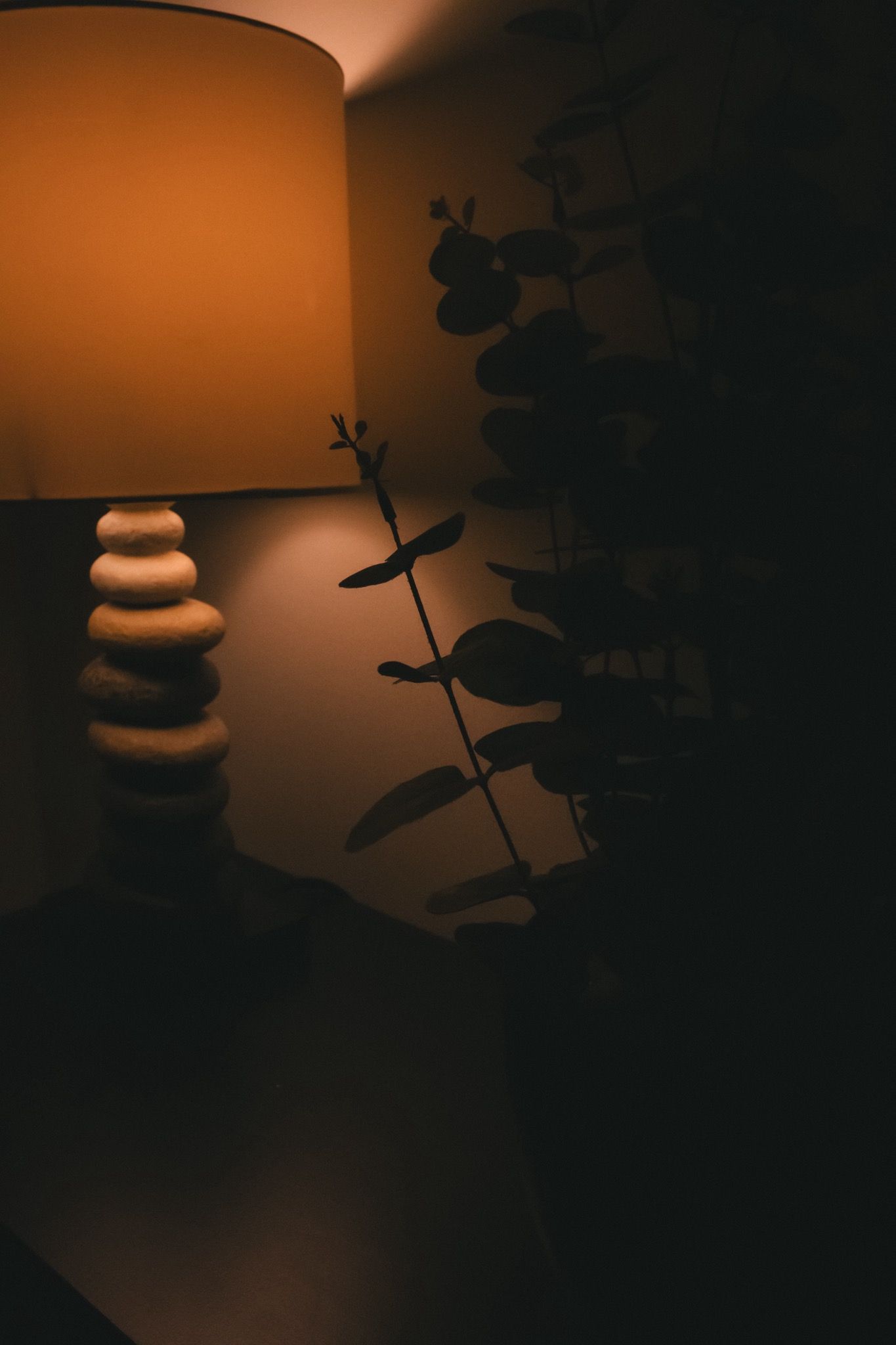 A lamp with a shadow of a plant on the wall next to it.