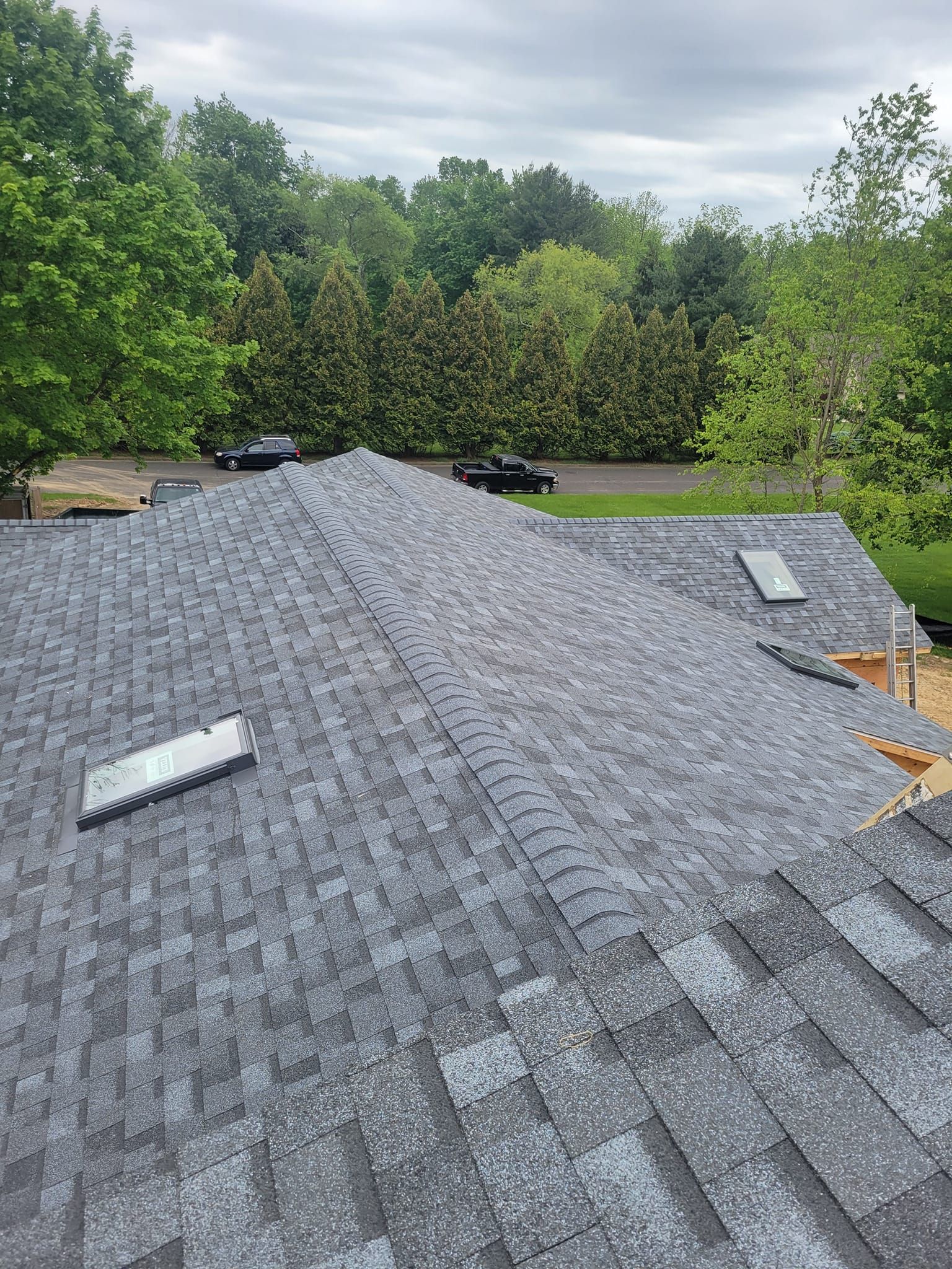 View of a newly shingled roof with two skylights, trees and a cloudy sky in the background.