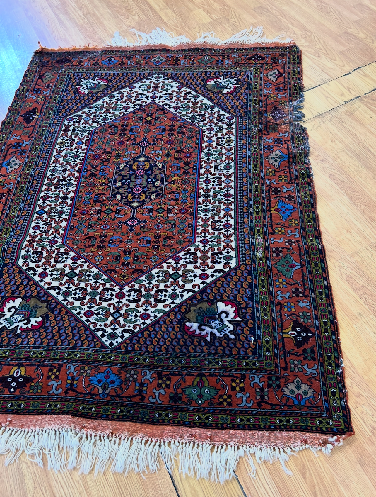 Moth Damage After Repair