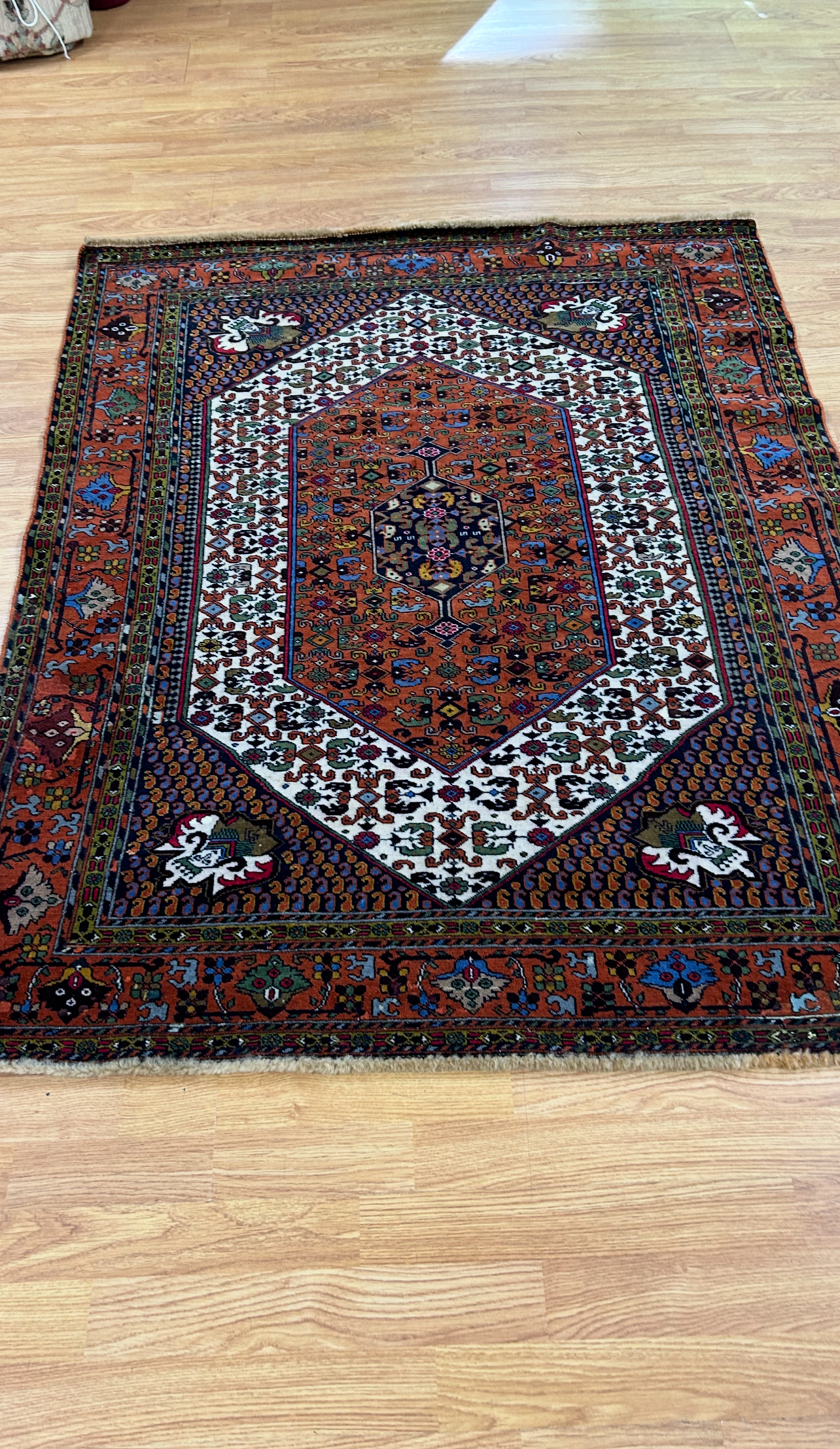 Moth Damage After Repair