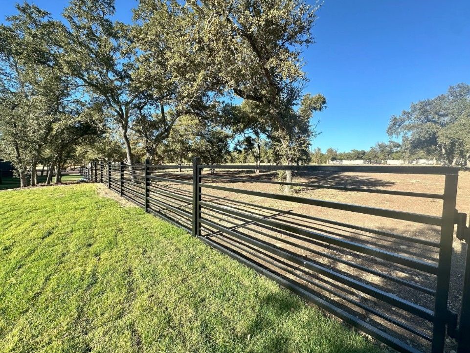 Black metal fence bordering a grassy lawn, leading towards trees on a sunny day.