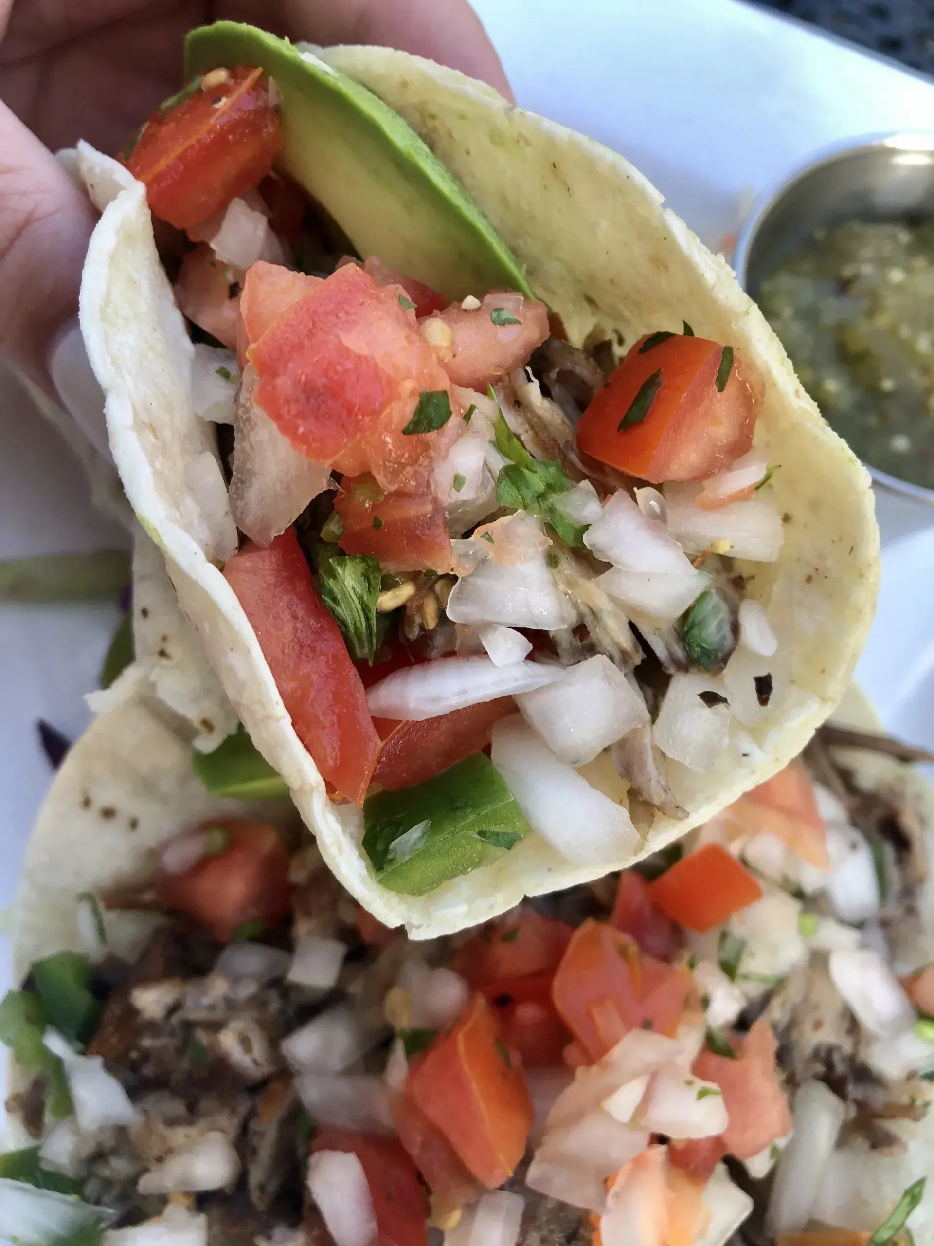 Tacos stuffed with diced tomatoes, onions, cilantro, and avocado on a plate