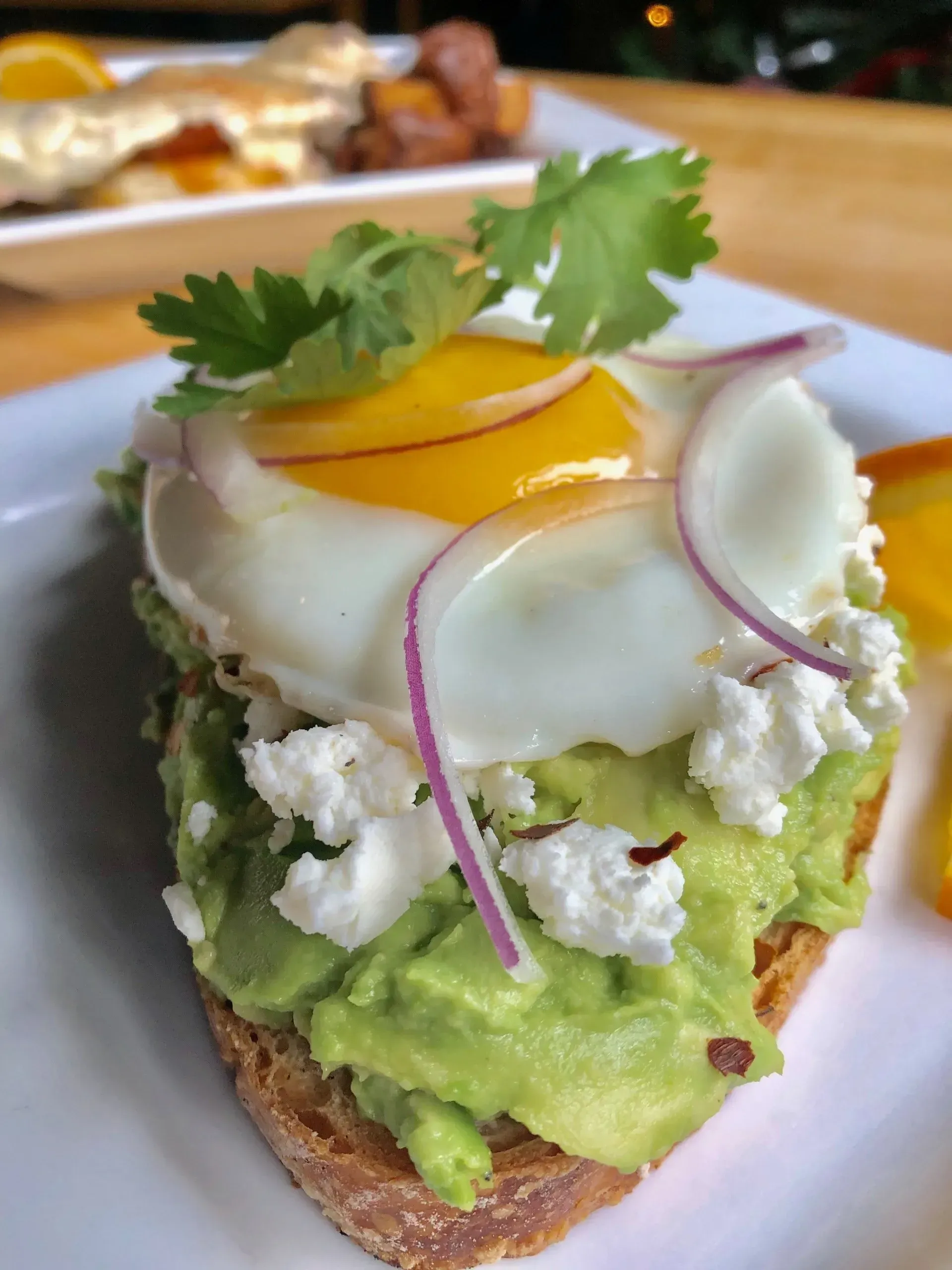 Avocado toast topped with a fried egg, feta, red onion, and cilantro on a white plate