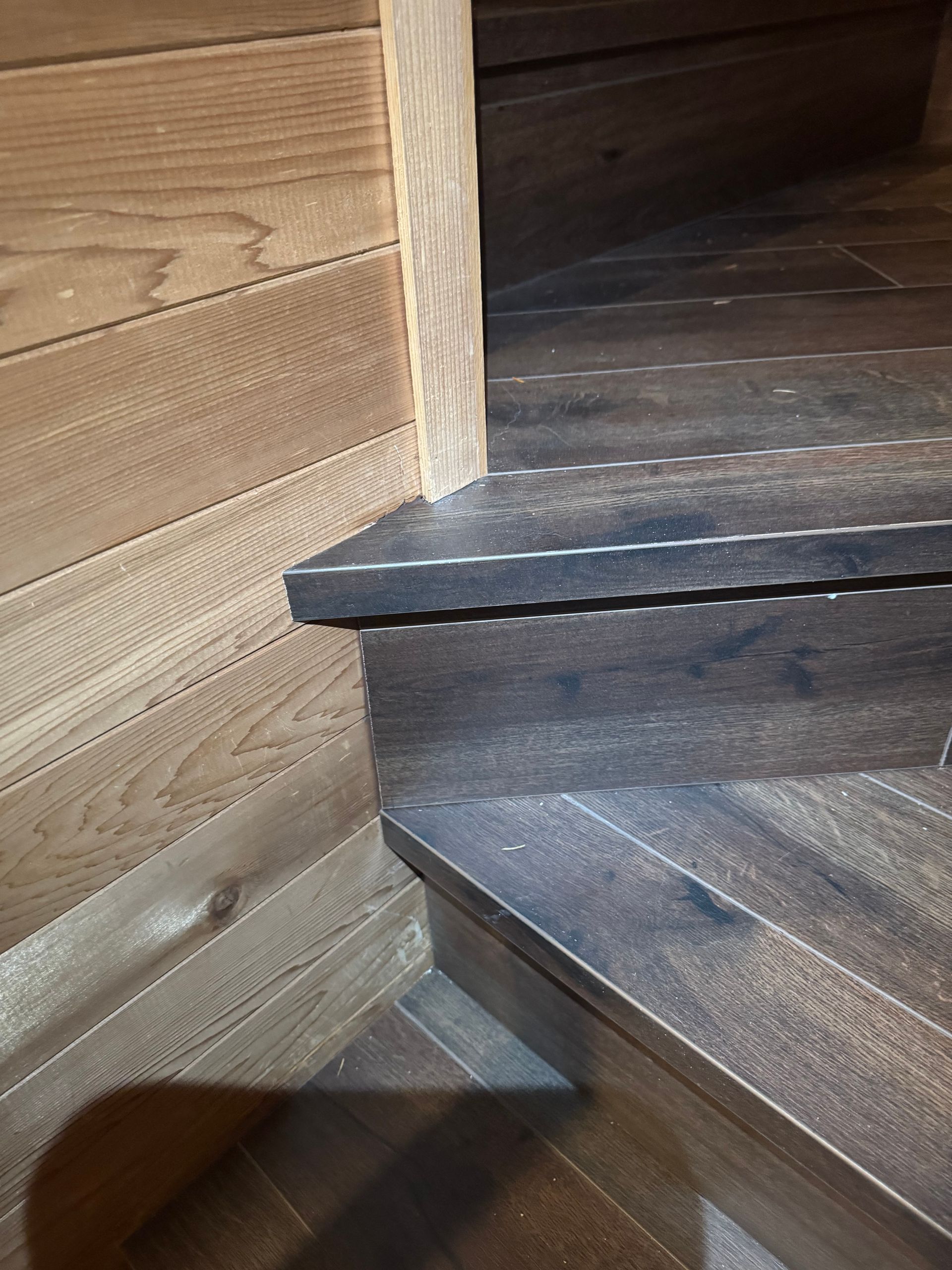 Dark wood steps leading to an opening, with wood paneling on the wall, in a dimly lit space.