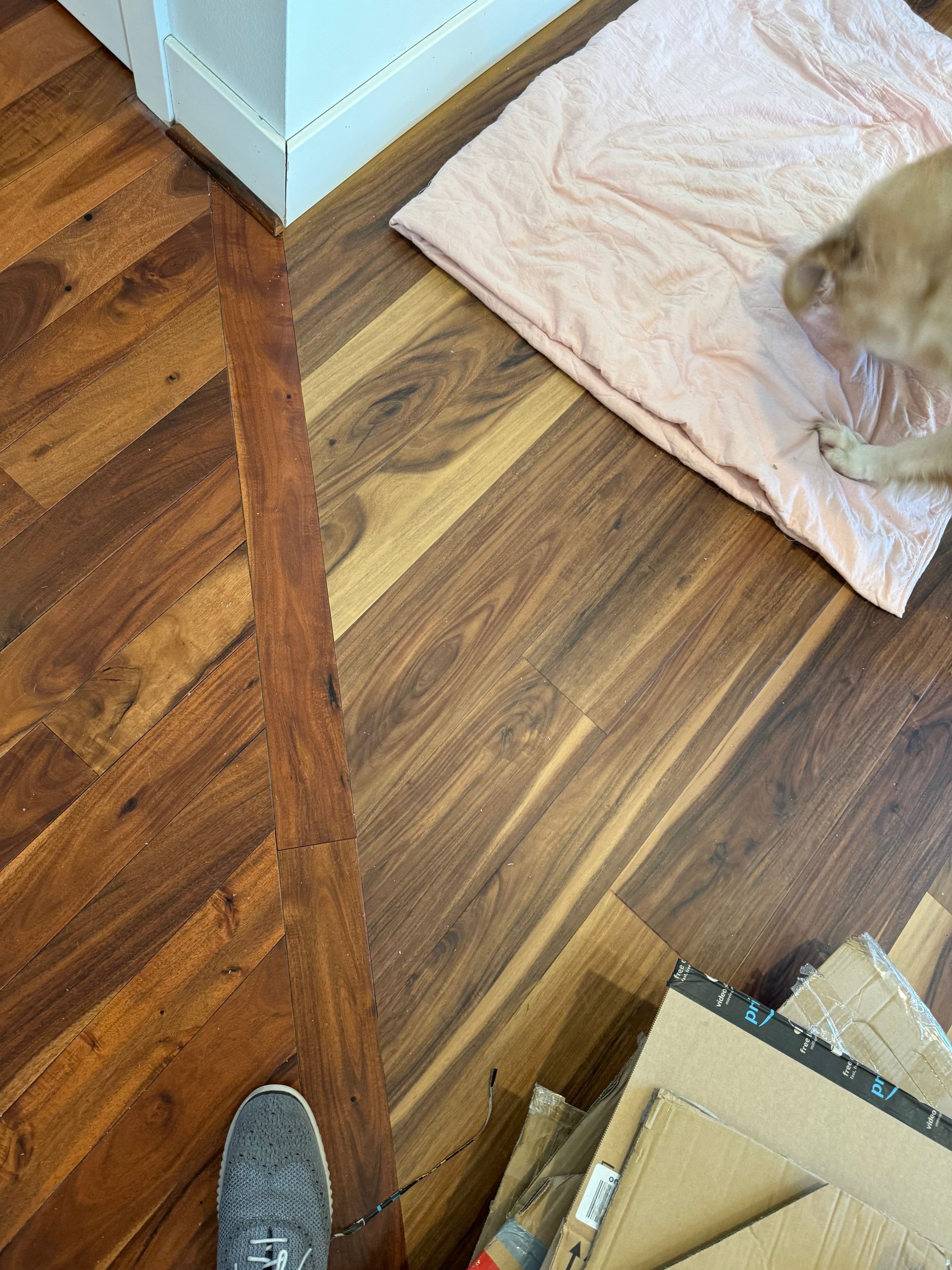 Wooden floors with dog near a pink blanket and cardboard boxes.