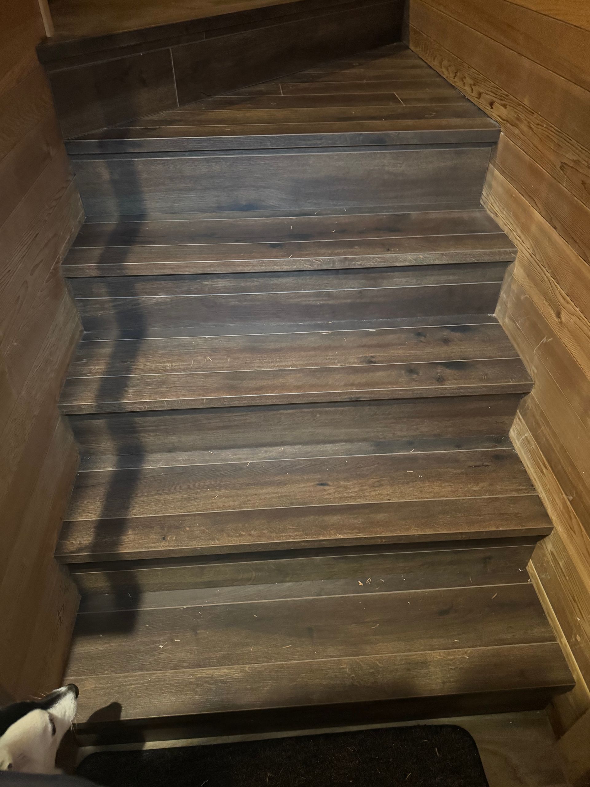 Dark wooden stairs with a dog at the bottom; walls are wood-paneled.