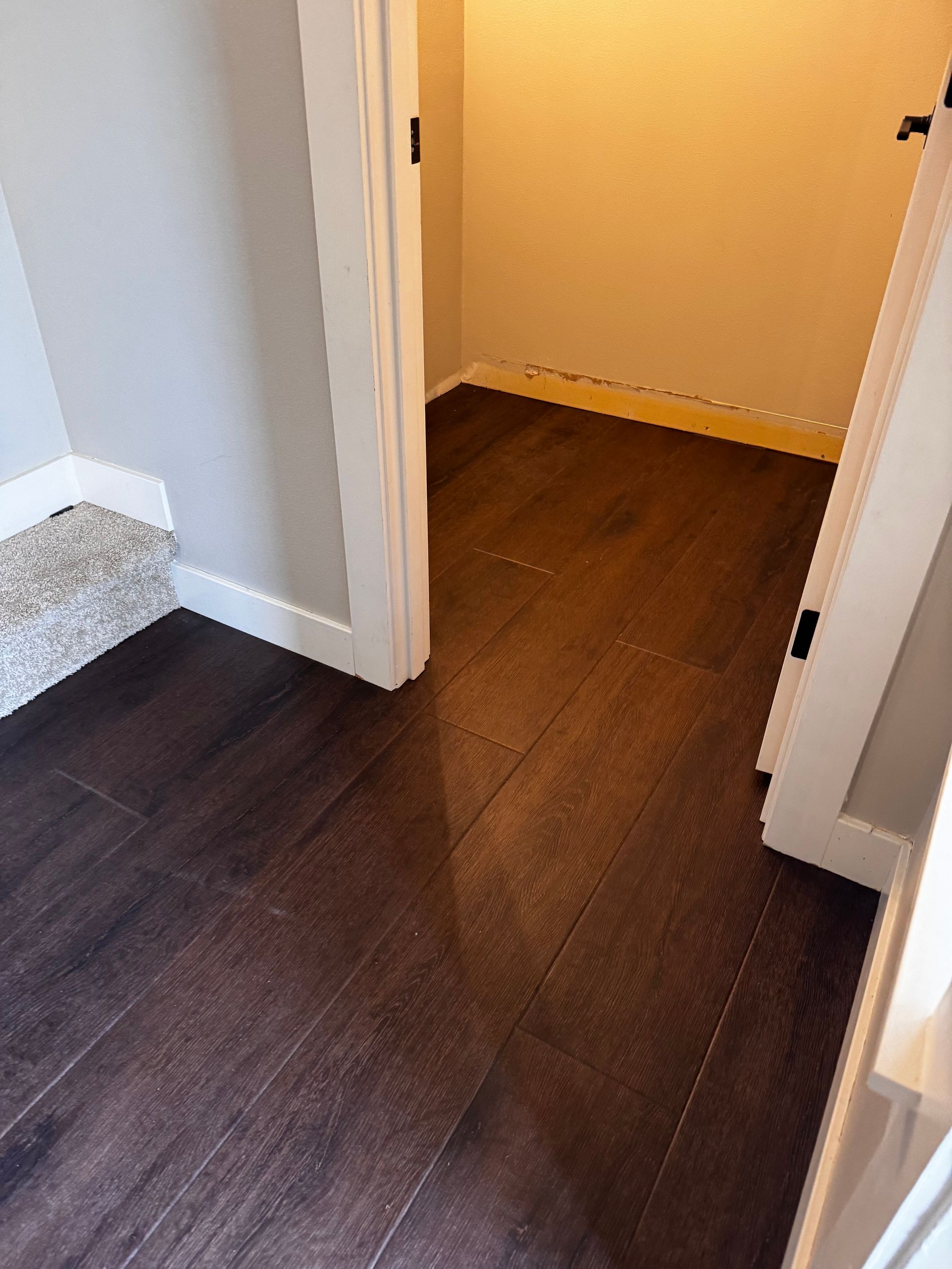 Dark wood-look floor transitions to a light-colored closet space. A doorway on the left has carpet.