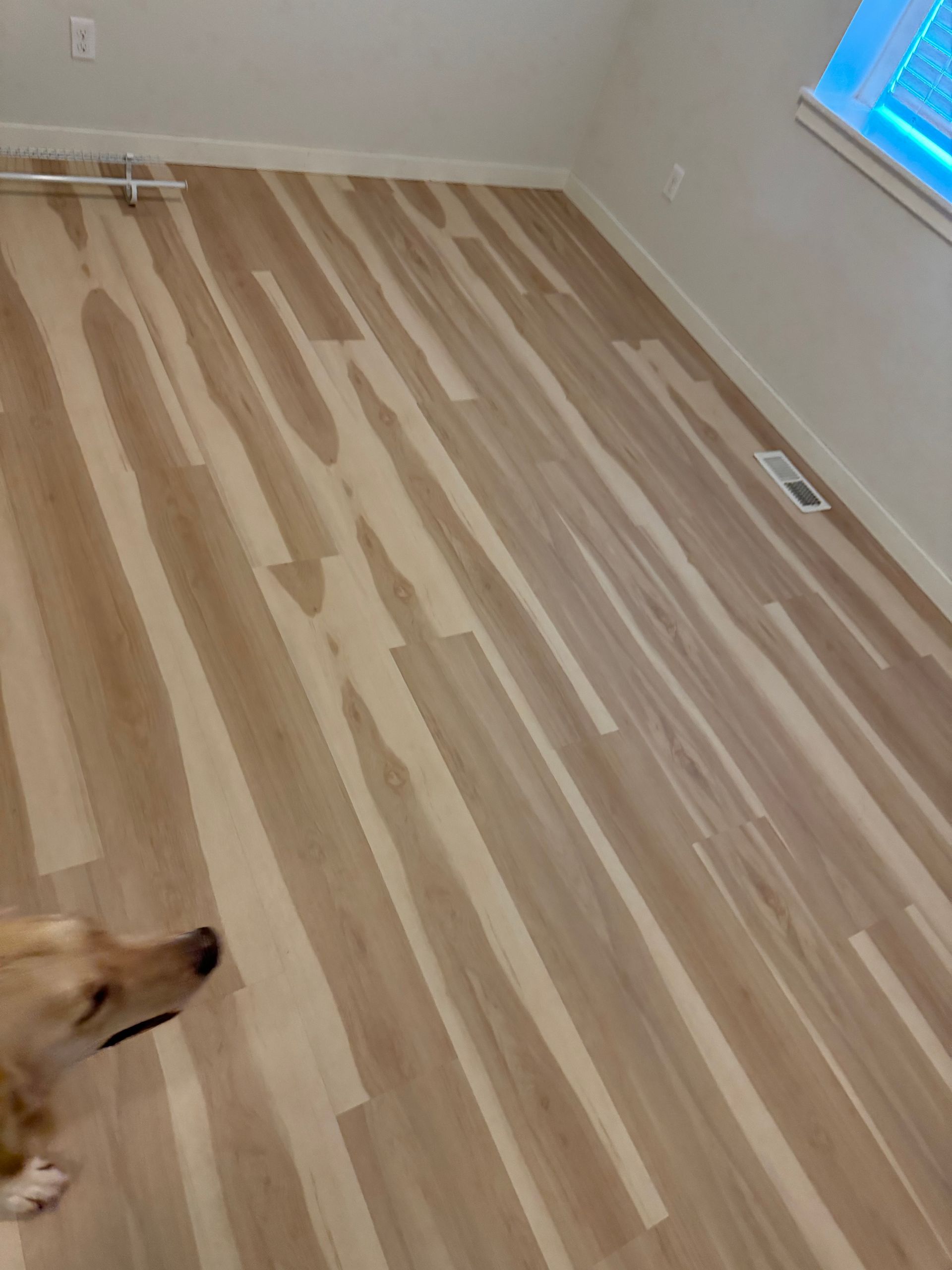 Light wood-look flooring installed in a room. A light-colored dog is in the lower-left corner.