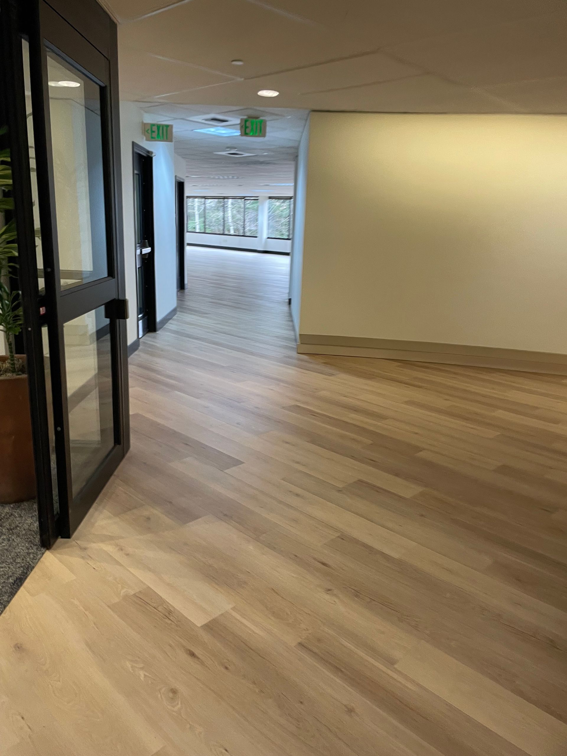 Glass door opens to a light wood floor hallway. A white wall is on the right.