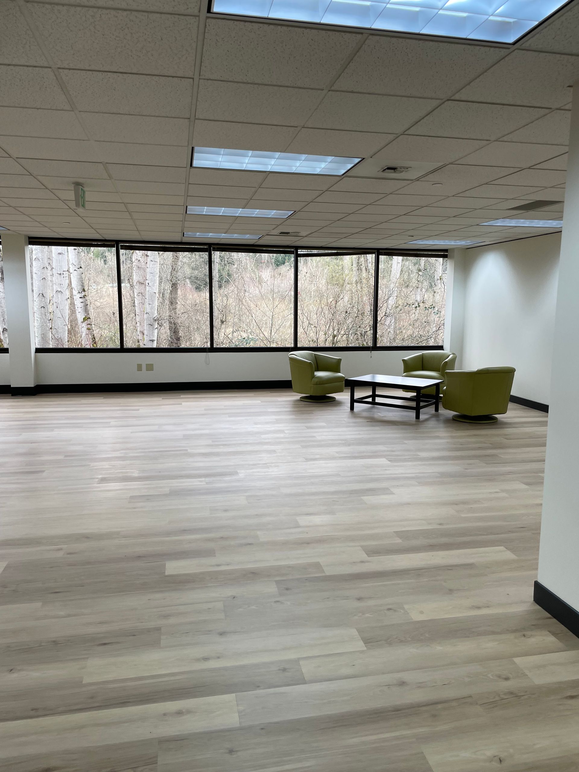 Empty office space with light wooden floor, large windows overlooking trees, and green armchairs around a coffee table.