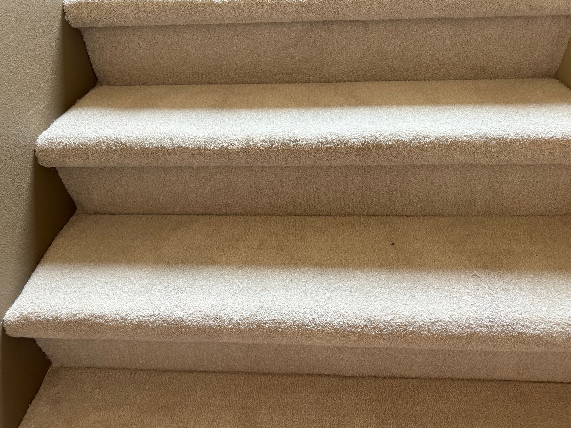 Carpeted staircase with light beige steps and risers.