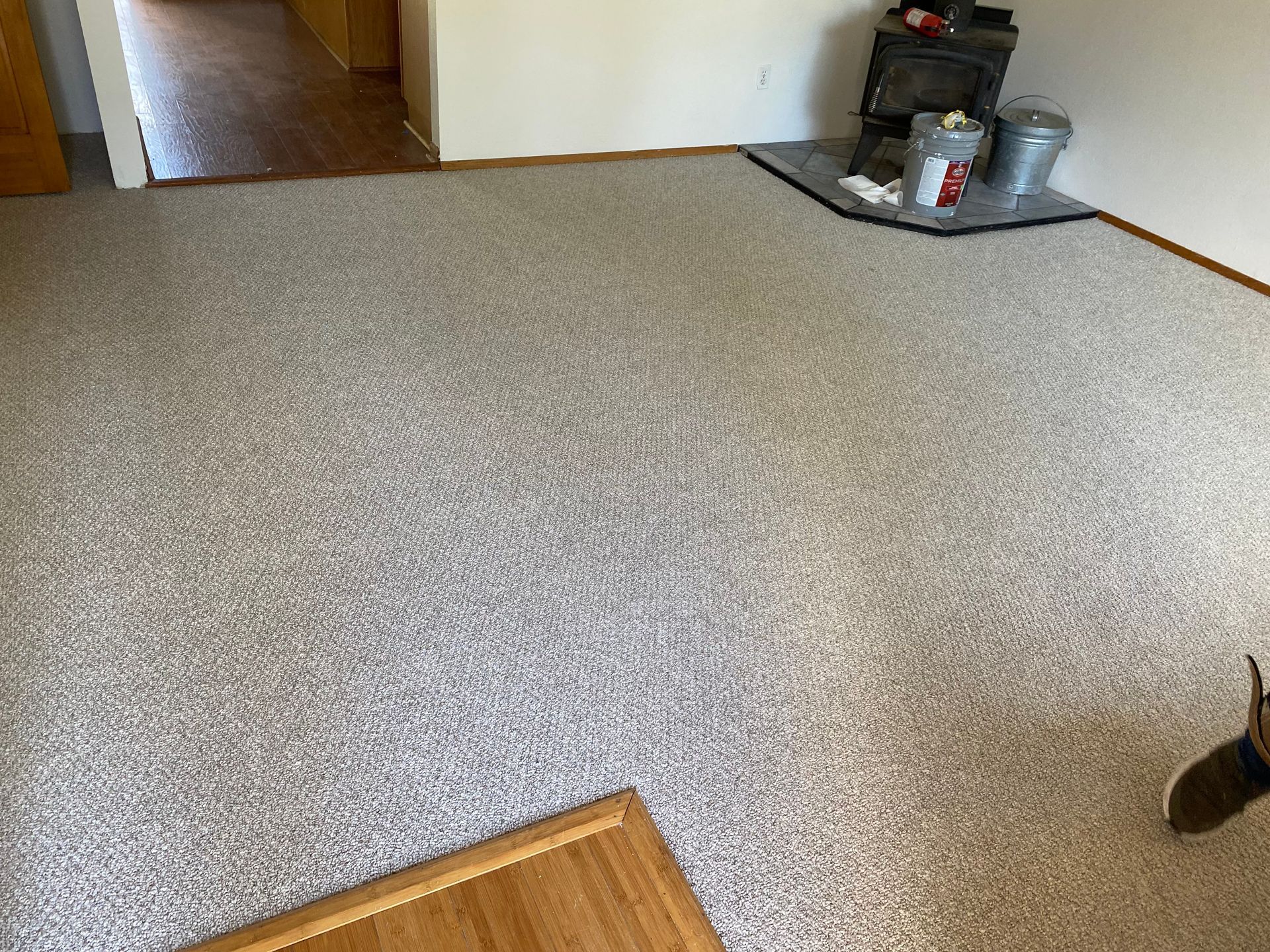 Beige carpeted room, door in background. Painting supplies, a cabinet, and a person's leg are visible.