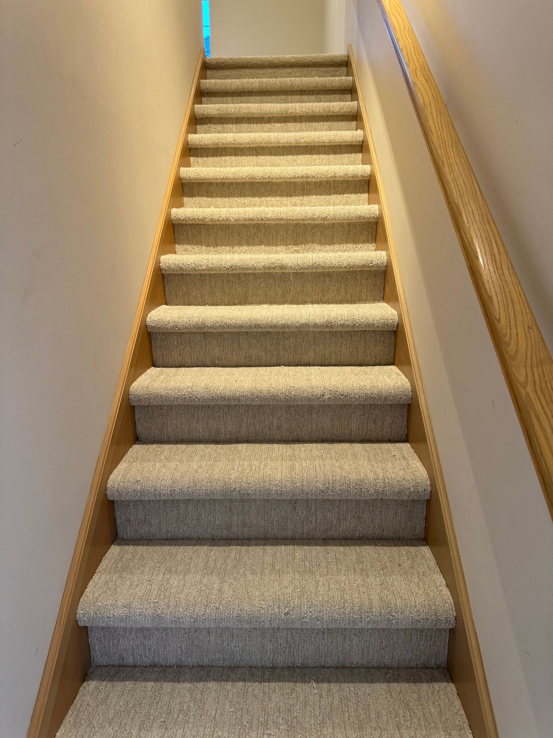 Carpeted staircase with wooden frame and handrail, leading upwards towards a light.
