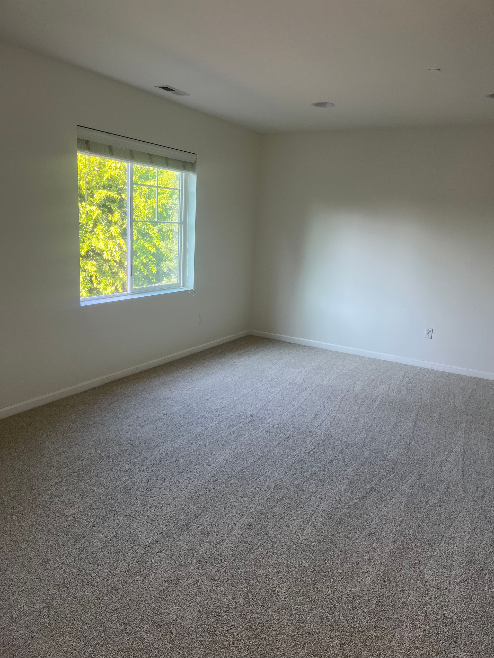 Empty room with neutral speckled carpet, a window with a view of greenery, and white walls.