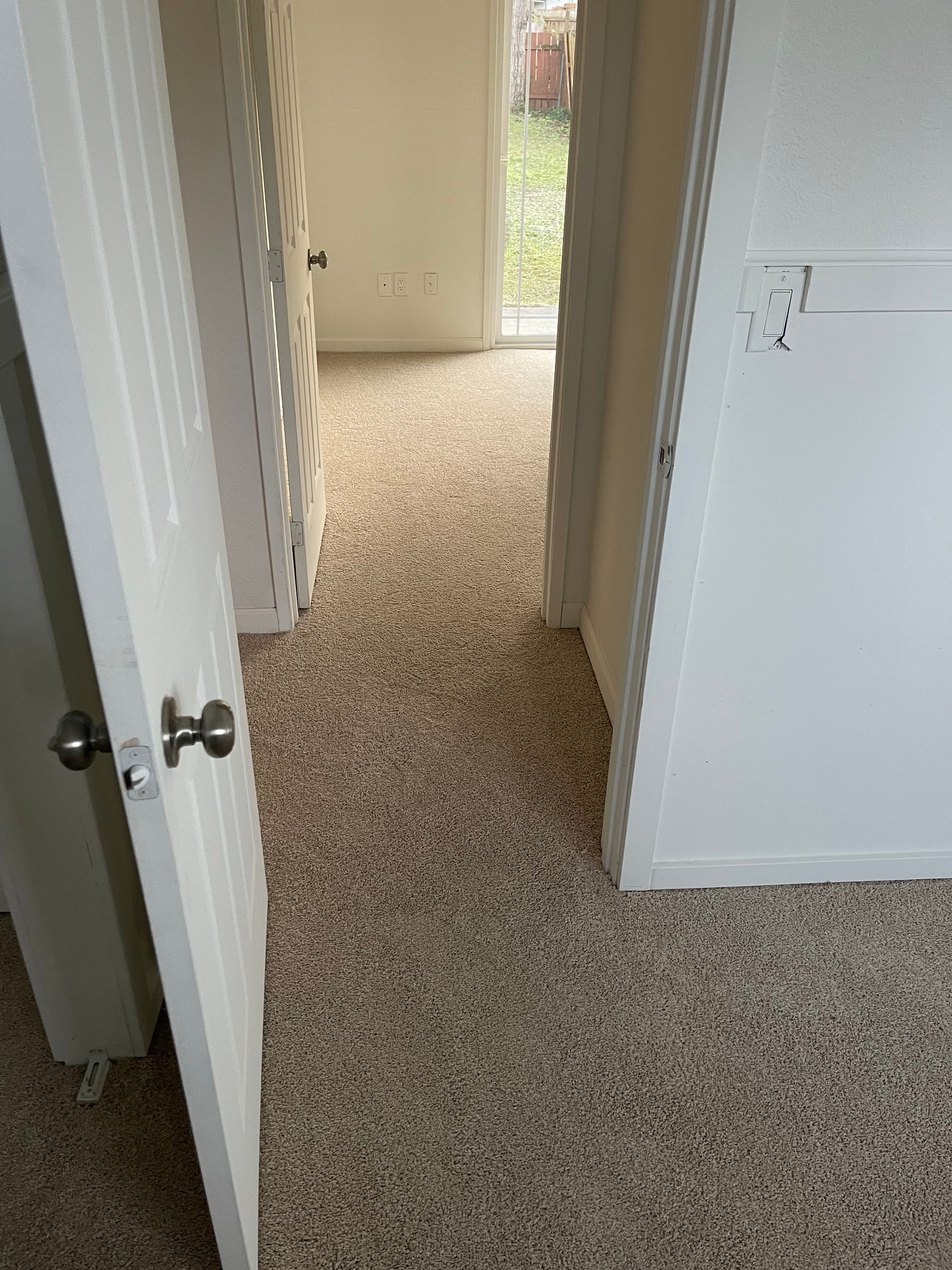 Hallway with beige carpet, white doors, and a window to the outside.