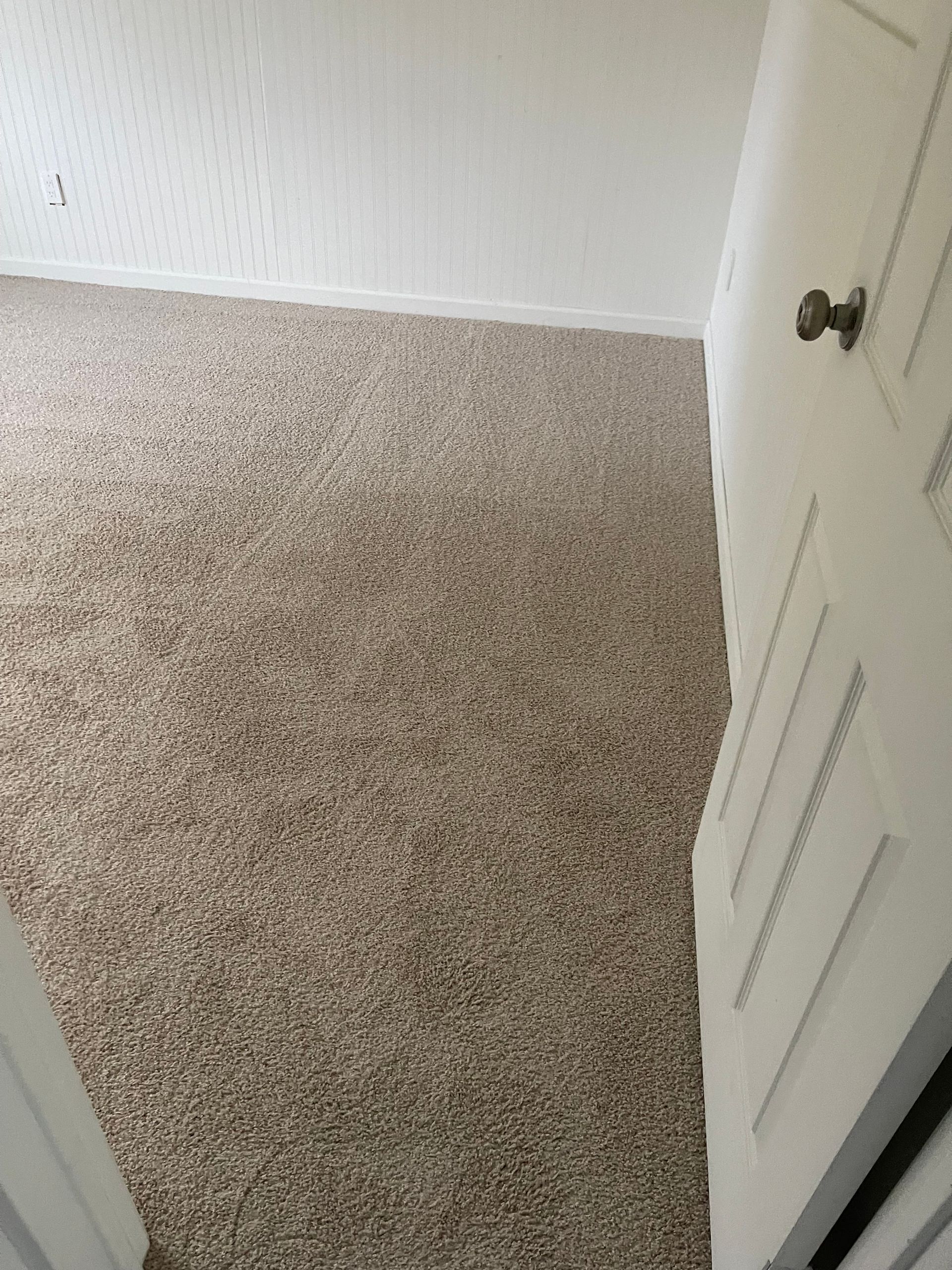 Beige carpet fills a room, viewed from a partially open white door.