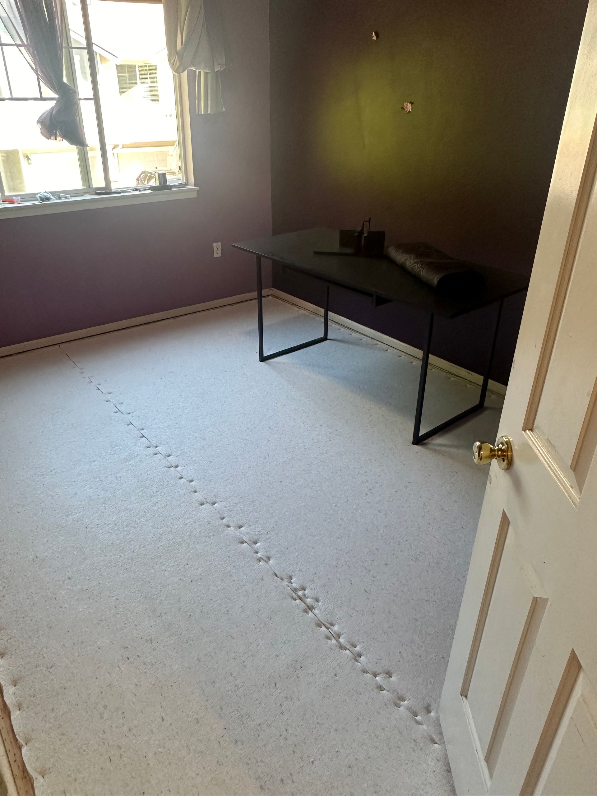 Room with purple walls, black desk, and light carpet, with a path of uneven spots on the floor.