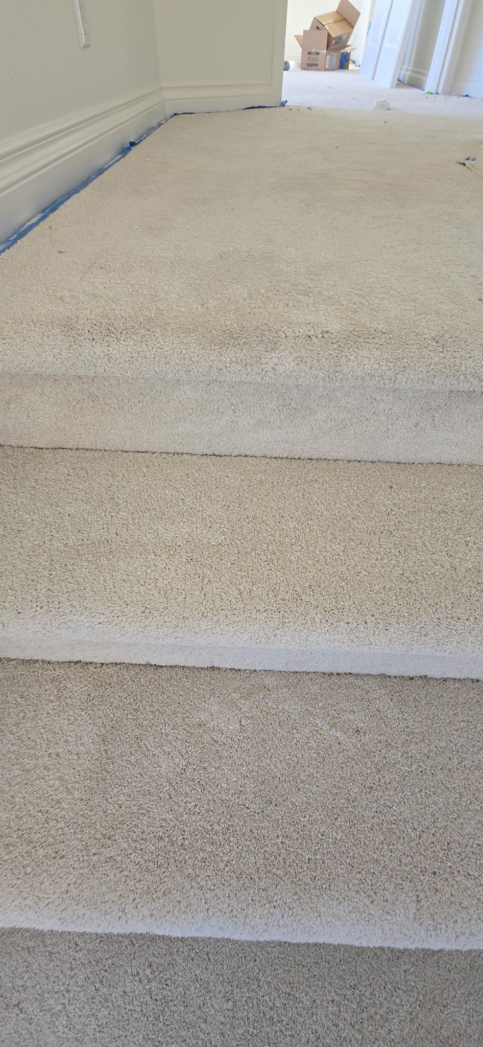 Carpeted stairs leading to a doorway. Light tan carpet and white trim are present.