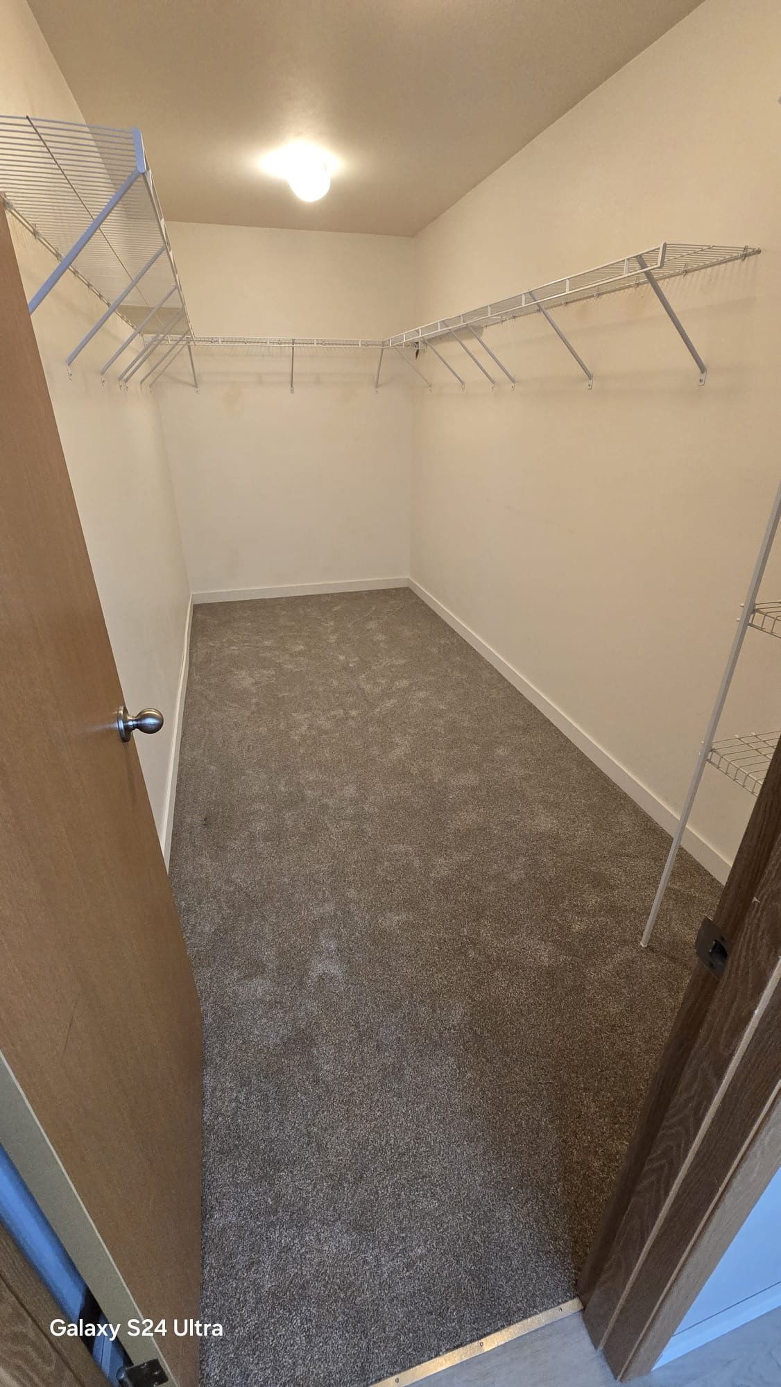 Empty walk-in closet with wire shelving and gray carpet; white walls and a ceiling light.