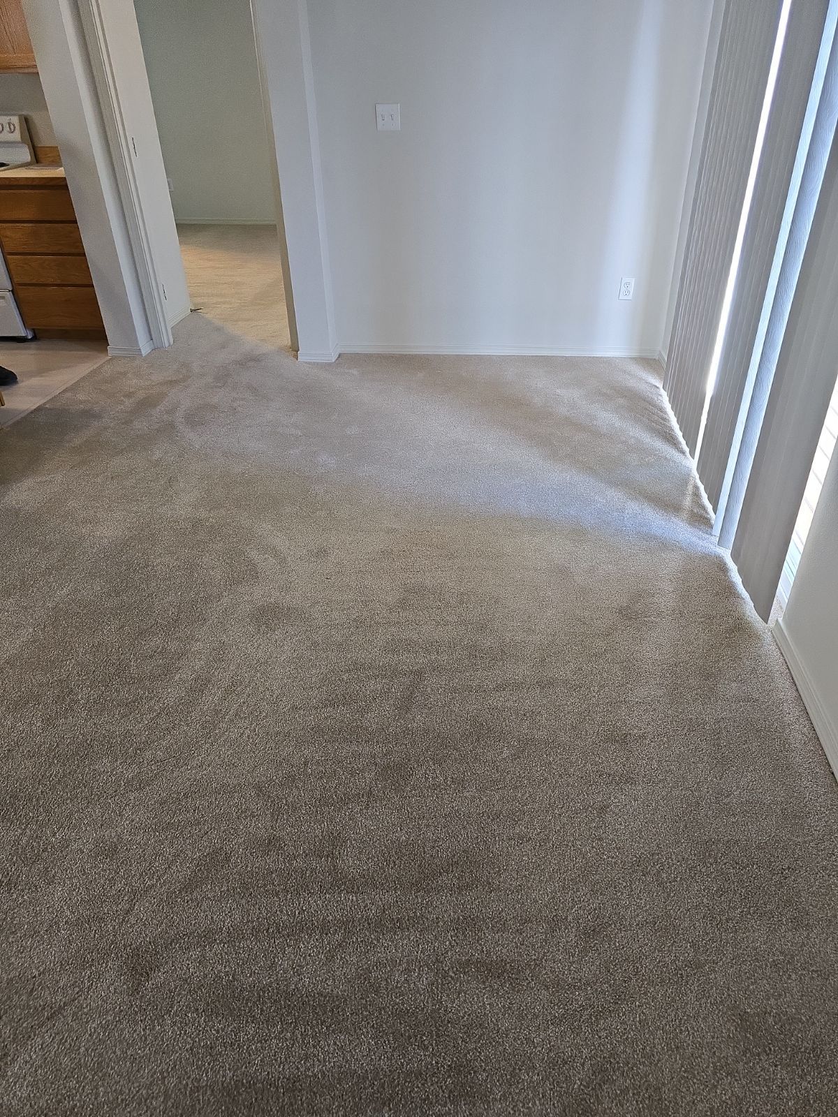 Brown speckled carpet in a room with white walls and a doorway leading to another room.