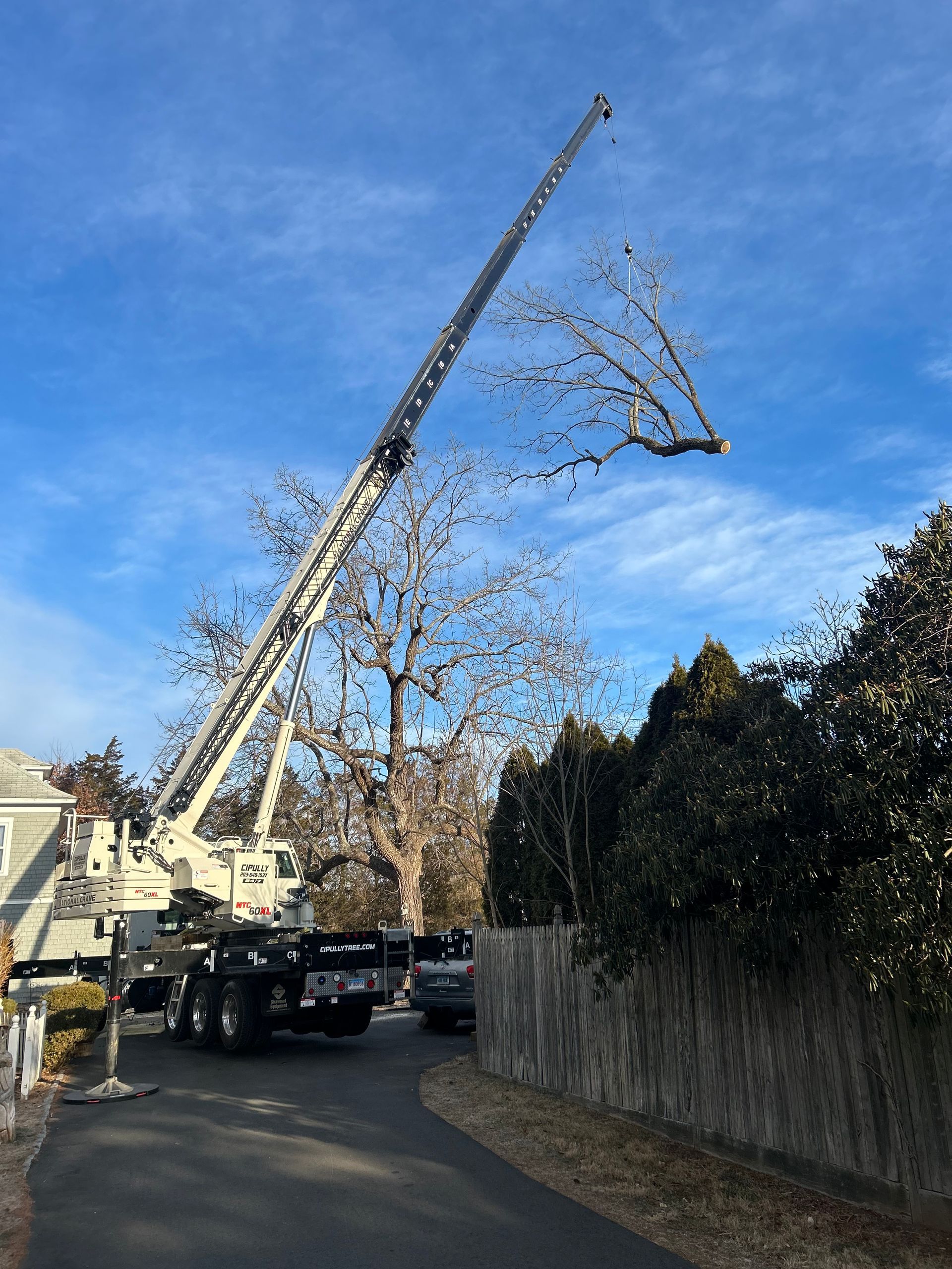 A large crane is cutting a tree in a yard.