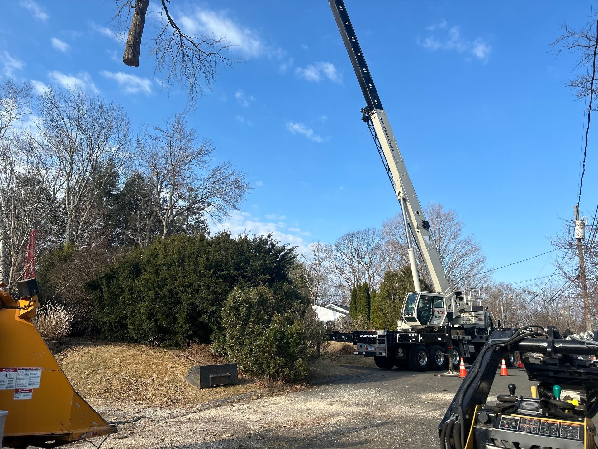 A crane is lifting a tree branch in a parking lot.