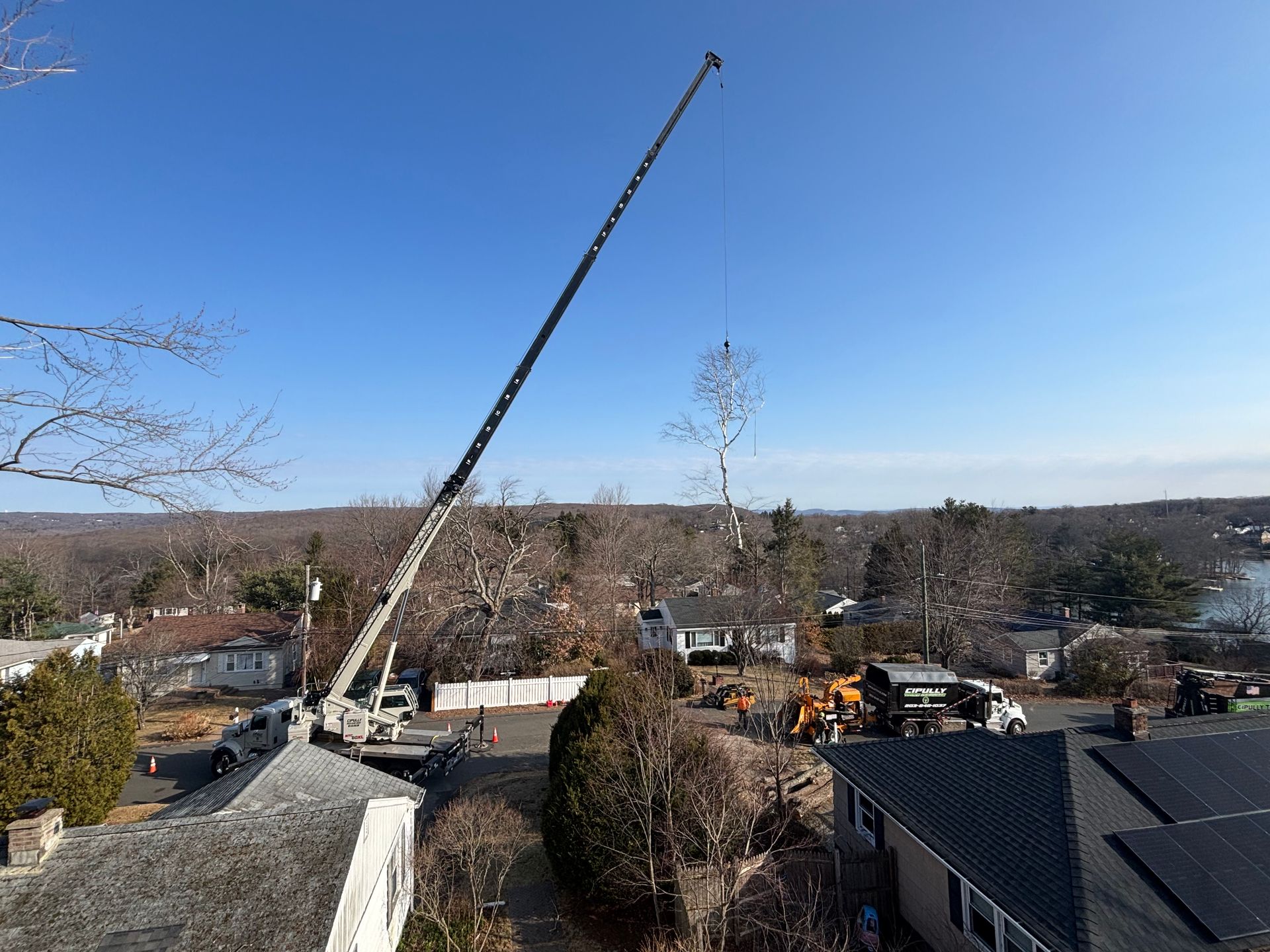 A large crane is lifting a tree into a house.