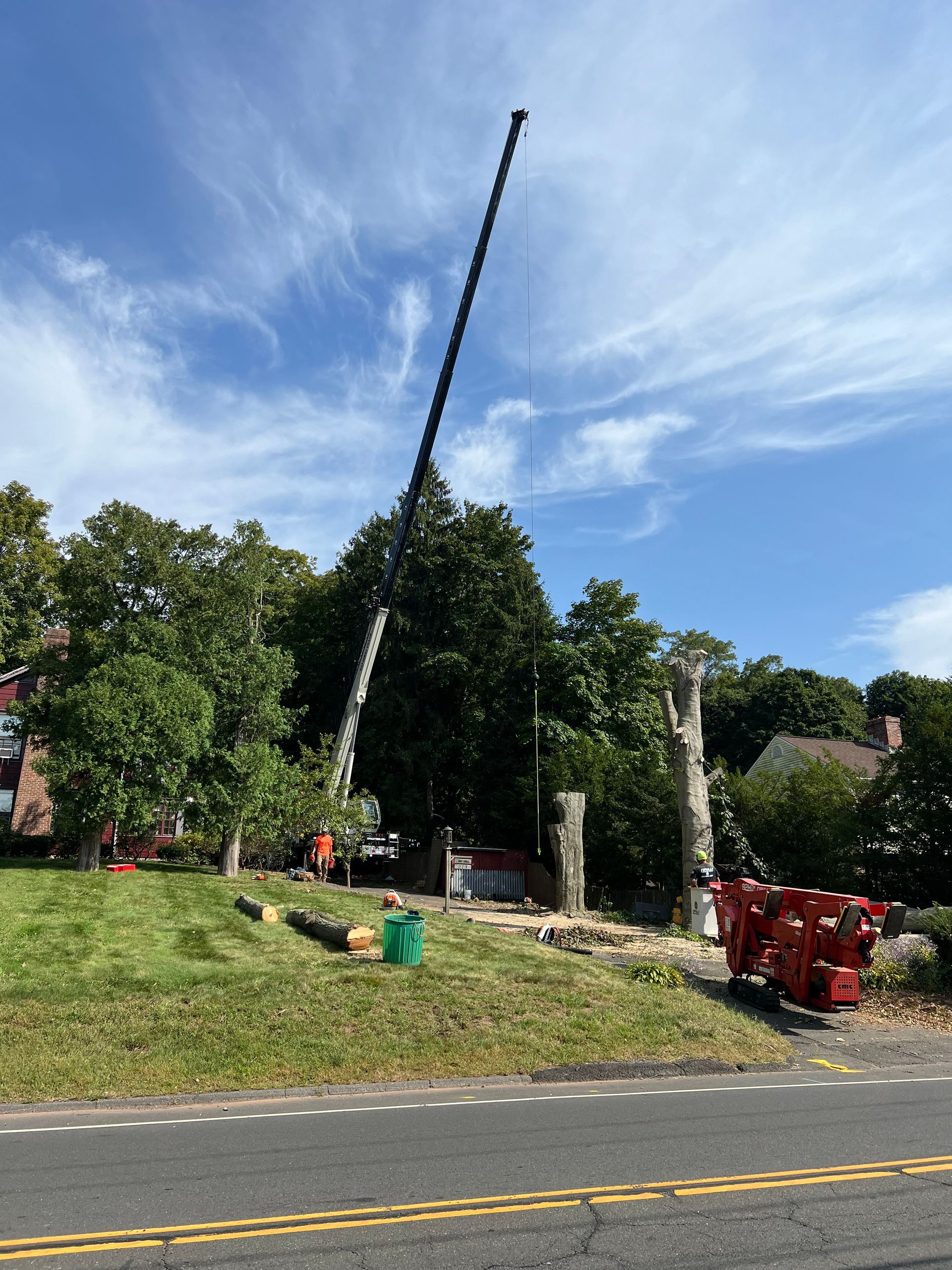 A large crane is cutting down a tree in a park.