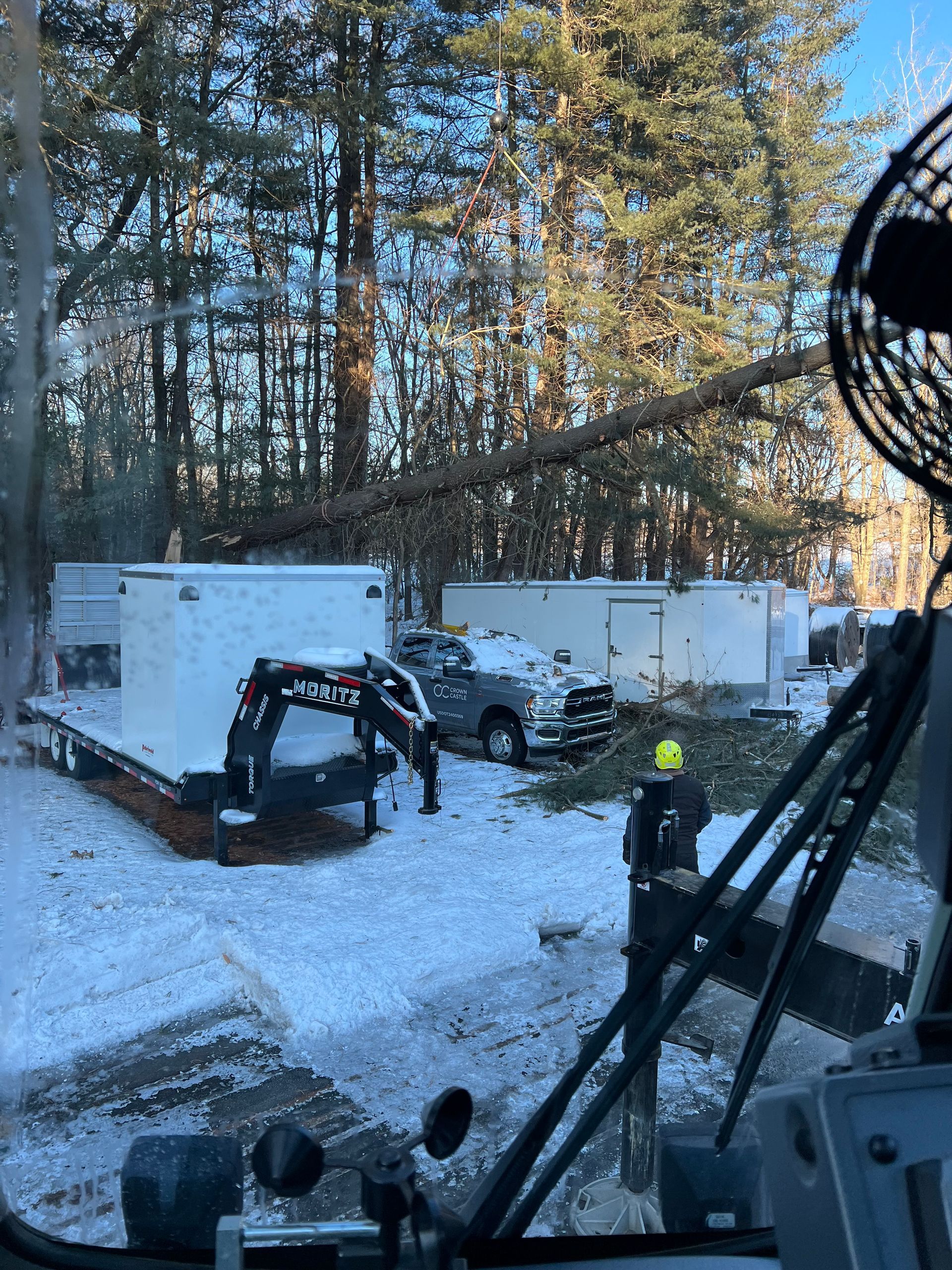 A tractor is cutting down a tree in the snow.