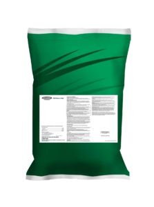 A green bag with a white label on it on a white background.