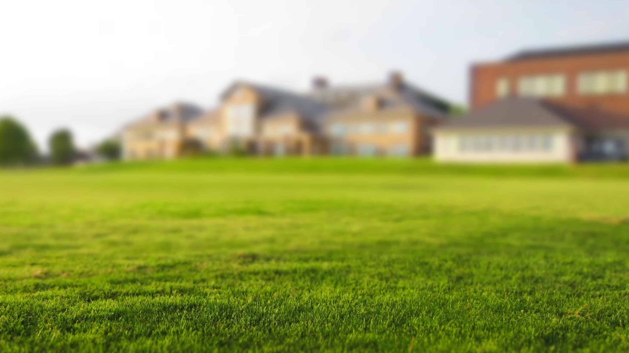 A blurred image of a lush green field with houses in the background.