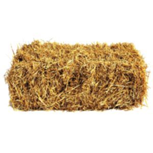 Straw Bale