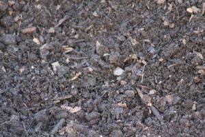 A close up of a pile of dirt and rocks.