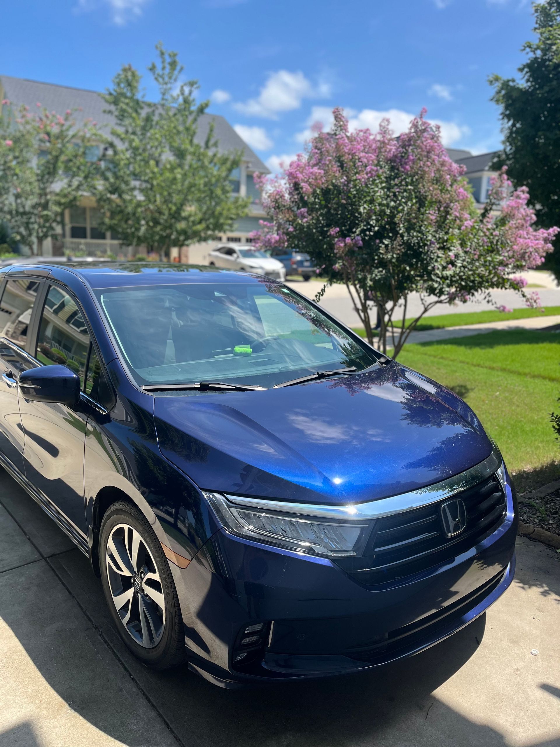 Blue Honda Odyssey minivan parked in a driveway with a flowering tree, houses in the background.