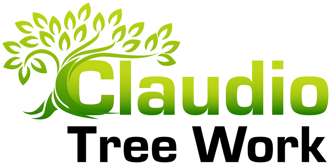 Claudio Tree Work and Landscaping LLC - logo