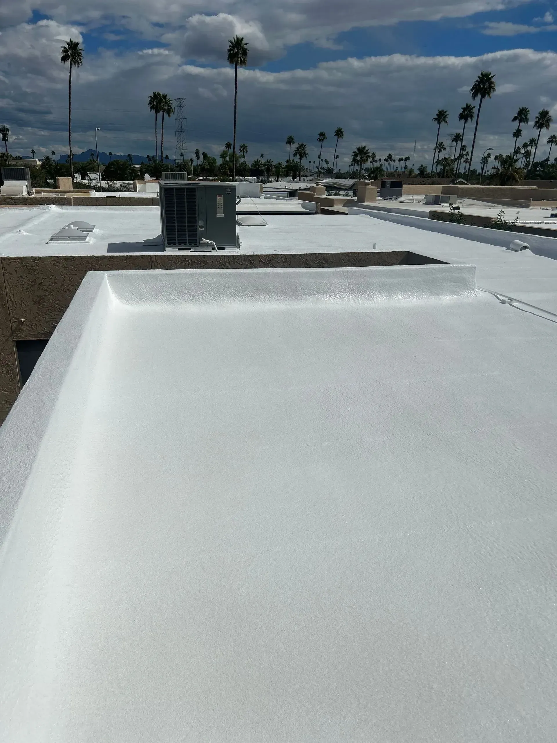 White foam roof with palm trees in the background under a cloudy sky.