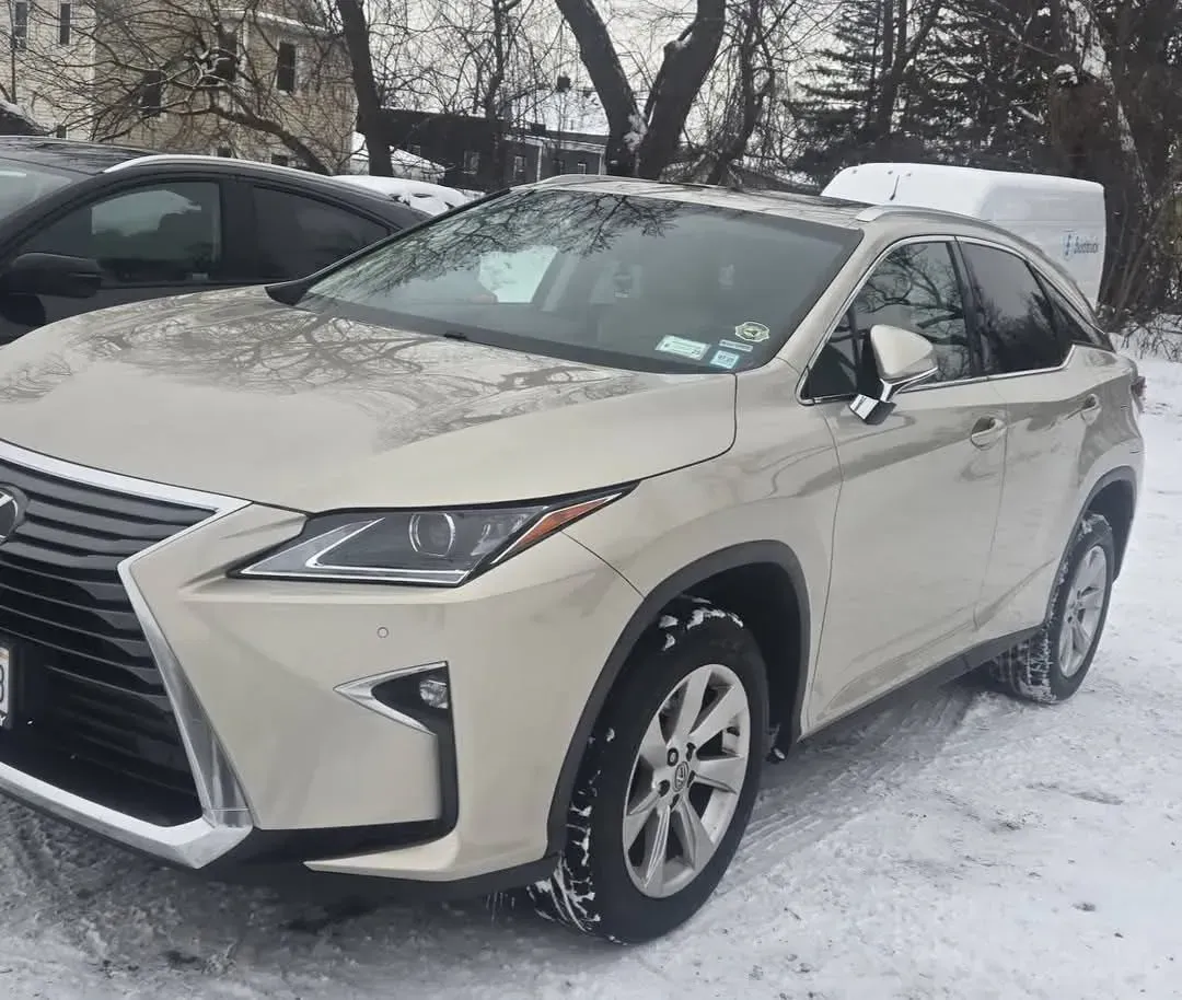Tan Lexus SUV parked on snow-covered ground. Gray overcast sky with leafless trees in the background.