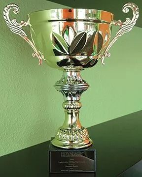 Silver trophy on a black base, against a green background.