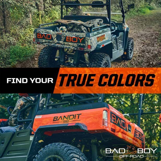 Bad Boy UTV - 02