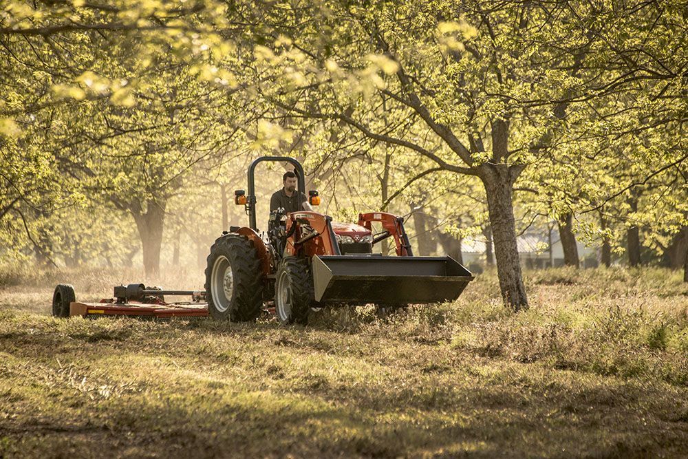 A man is driving a Massey Ferguson 2600H Series tractor through a field of trees.