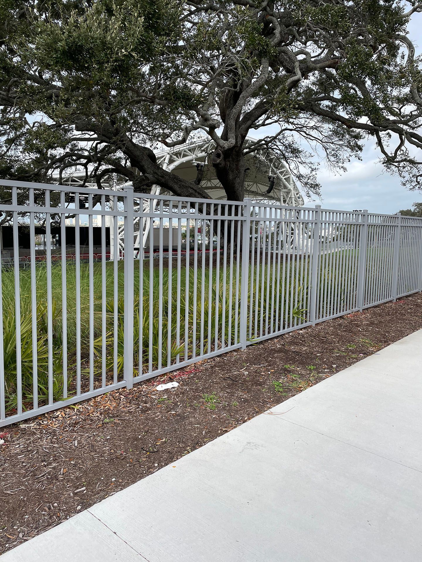 Gray metal fence along a sidewalk, with a large tree in the background.