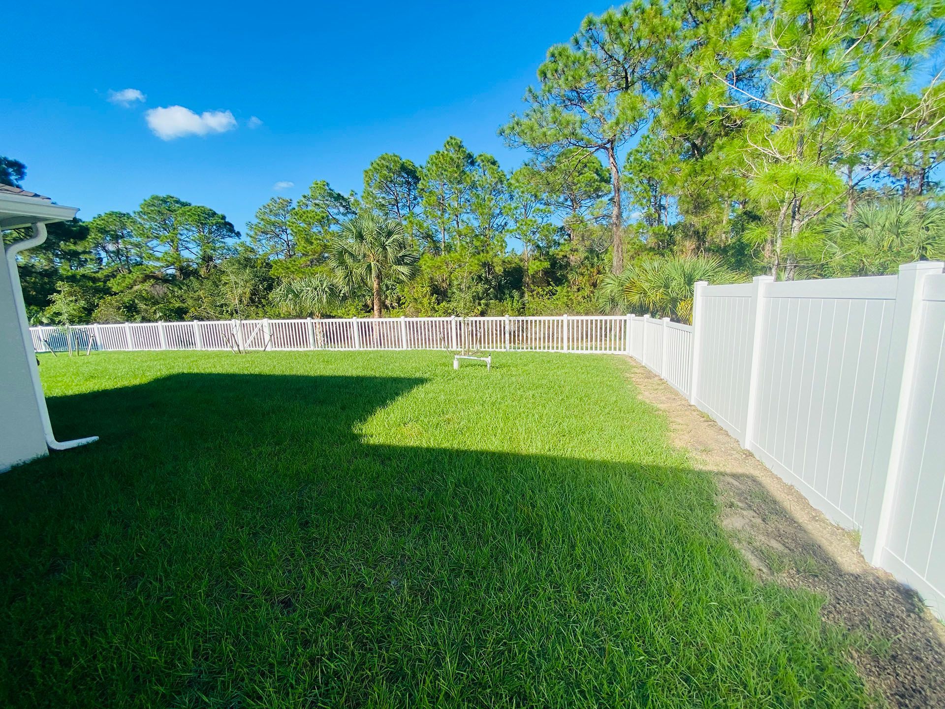 Green backyard with white fence and trees against a blue sky.