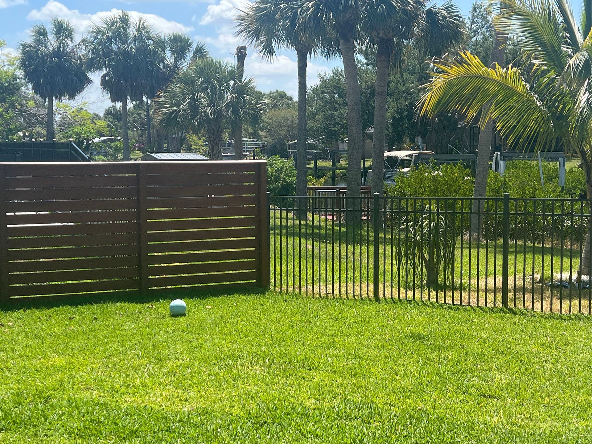 Lush green yard with a ball, dark wood and black metal fences, and palm trees. Sunny day.