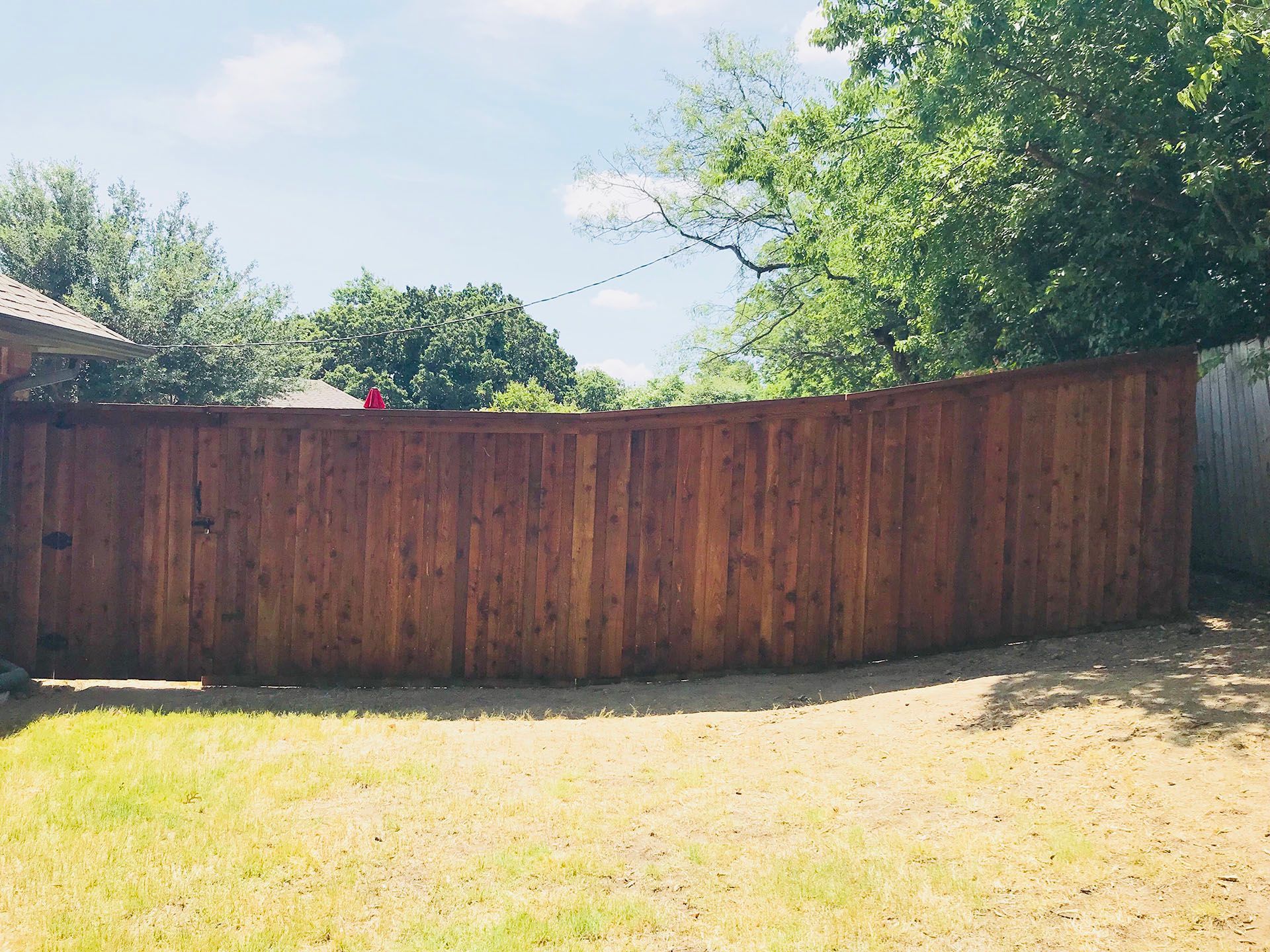 Brown wooden fence curves around a backyard, with trees and a blue sky overhead.