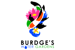 Contact Burdge's Water Gardens Enola PA | 717-567-0343