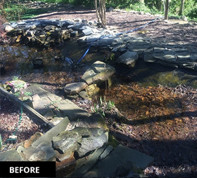 Pond cleaning - BEFORE