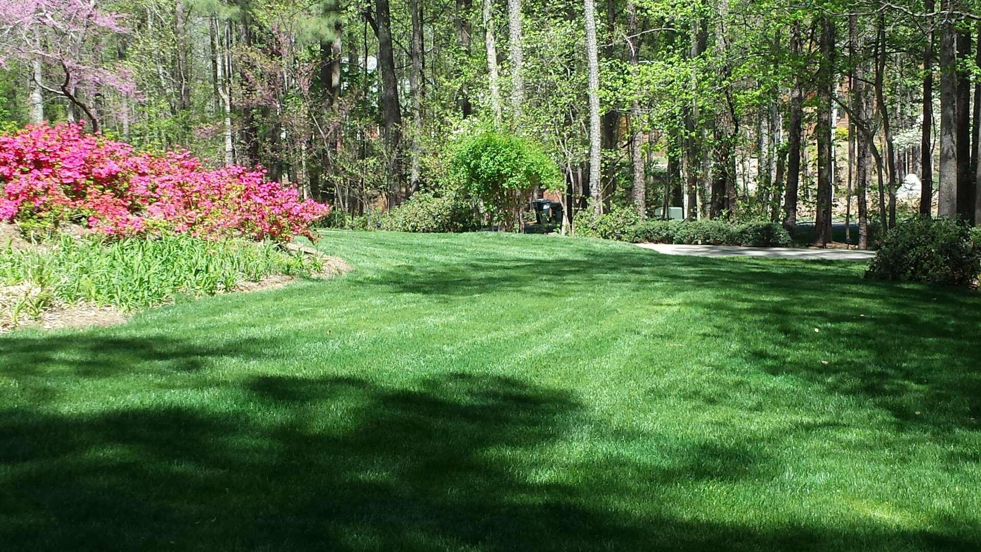 Focus Pest Management Pest Control Woodstock, GA