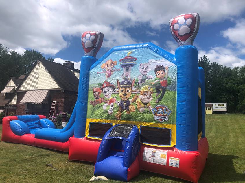 PAW Patrol Wet/Dry Combo